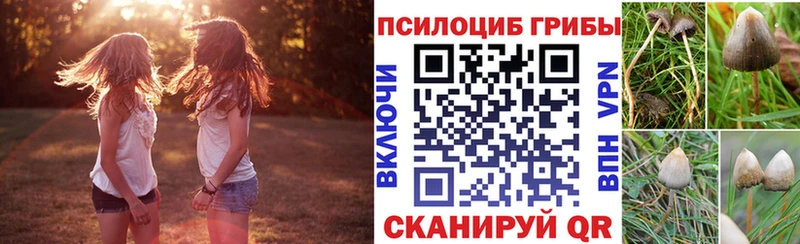 Галлюциногенные грибы ЛСД как найти закладки Киреевск