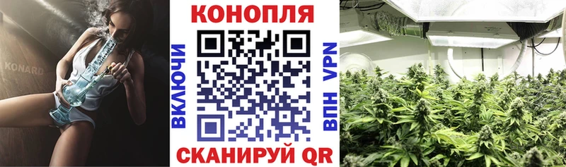 Бошки Шишки сатива  Киреевск 